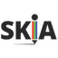 Skia icon